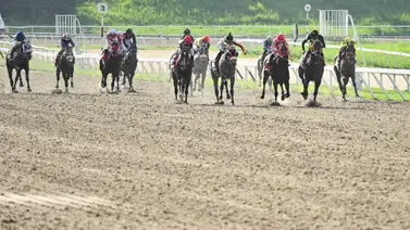Conoce a los doce que lucharán por el primer peldaño de la Triple Corona en 1.600 Metros  Conoce a los doce que lucharán por el primer peldaño de la Triple Corona en 1.600 Metros