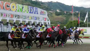 Imperdible: Desglosamos el Clásico José Antonio Páez (GI) y el inicio de la Triple Corona Nacional Imperdible: Desglosamos el Clásico José Antonio Páez (GI) y el inicio de la Triple Corona Nacional