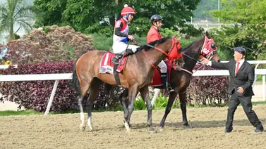 El selectivo Gran Alabama tiene un hermano completo que hace su estreno este domingo en La Rinconada  El selectivo Gran Alabama tiene un hermano completo que hace su estreno este domingo en La Rinconada