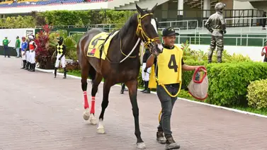 Nieta de Water Poet libre de tropiezos es un peligro en su reaparecida en La Rinconada  Nieta de Water Poet libre de tropiezos es un peligro en su reaparecida en La Rinconada