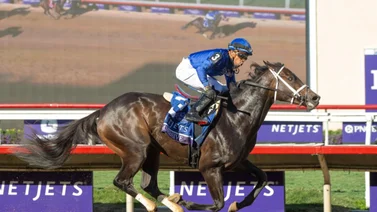 La campeona dosañera hará su debut este fin de semana en Churchill Downs