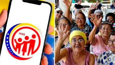 Sistema Patria pensionados IVSS