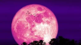 Luna de Fresa: ¿Cuándo será visible el fenómeno astronómico? 