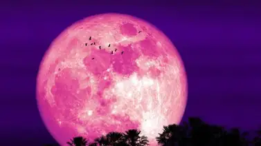 Luna de Fresa: ¿Cuándo será visible el fenómeno astronómico? Luna de Fresa: ¿Cuándo será visible el fenómeno astronómico?