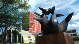 UCV prohíbe actividades comerciales en sus instalaciones por esta razón