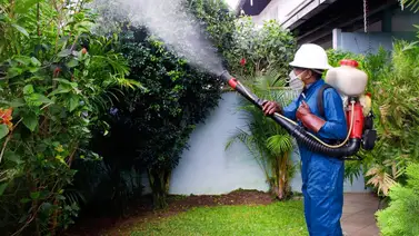 Fumigación gratuita en Chacao: Todo lo que necesitas saber Fumigación gratuita en Chacao: Todo lo que necesitas saber