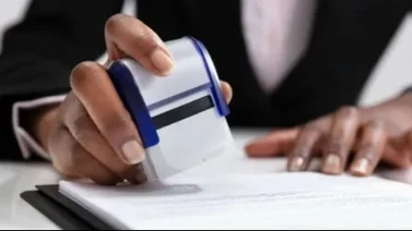 Guía práctica para realizar el traspaso de propiedad de vehículos en línea