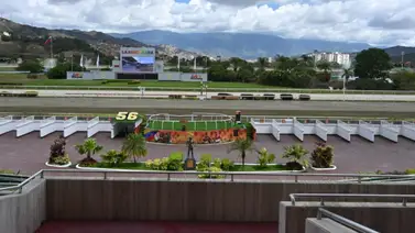 ¡Alerta Hípica! El fijo del 5y6 y el dato estadístico que nadie te ha contado en La Rinconada (+Análisis) ¡Alerta Hípica! El fijo del 5y6 y el dato estadístico que nadie te ha contado en La Rinconada (+Análisis)