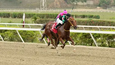 La fija de las no válidas tiene rival: Su trabajo contenido la hacen lucir grande en La Rinconada La fija de las no válidas tiene rival: Su trabajo contenido la hacen lucir grande en La Rinconada
