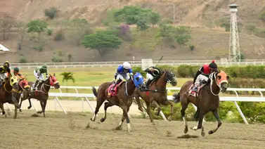 "Tumba Torre": El purasangre que de acuerdo a su ajuste promete sorprender en las carreras no válidas de La Rinconada "Tumba Torre": El purasangre que de acuerdo a su ajuste promete sorprender en las carreras no válidas de La Rinconada