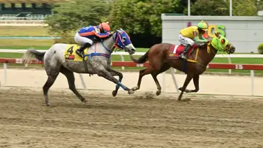 Pendientes hay una particularidad con el ajuste de uno de los ejemplares que monta Yamper González que de ganar sería un batacazo Pendientes hay una particularidad con el ajuste de uno de los ejemplares que monta Yamper González que de ganar sería un batacazo