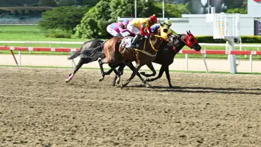 El dato secreto del 5y6: Un ajuste con remate de 11.4 anuncia posible excelente dividendo en la R22 El dato secreto del 5y6: Un ajuste con remate de 11.4 anuncia posible excelente dividendo en la R22