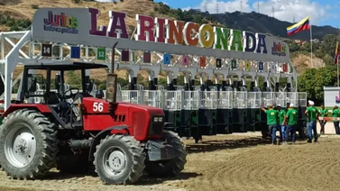 Toro Salvaje y su ajuste que de seguro quieres conocer ante su debut de este domingo en La Rinconada