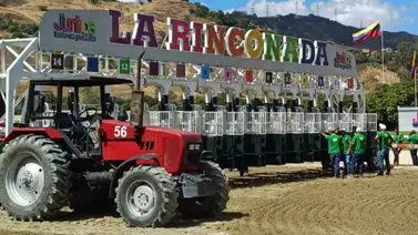 Toro Salvaje y su ajuste que de seguro quieres conocer ante su debut de este domingo en La Rinconada Toro Salvaje y su ajuste que de seguro quieres conocer ante su debut de este domingo en La Rinconada