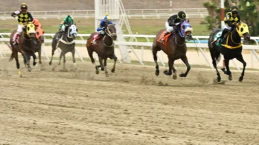¡Atención 5y6! El dato más sonado ajustó contenido y lució espectacular en su remate en la arena de Coche