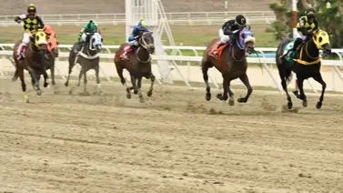¡Atención 5y6! El dato más sonado ajustó contenido y lució espectacular en su remate en la arena de Coche ¡Atención 5y6! El dato más sonado ajustó contenido y lució espectacular en su remate en la arena de Coche