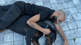 El impresionante hogar canino de Arcángel: lujo y comodidad para sus mascotas