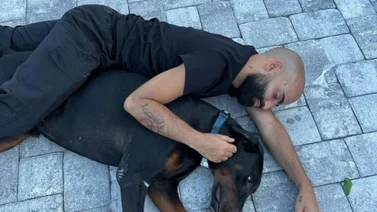 El impresionante hogar canino de Arcángel: lujo y comodidad para sus mascotas