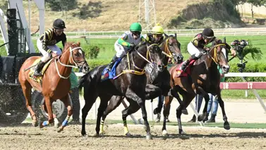 Prepárate para la emoción: A esta hora te revelamos los ejemplares con más fuerza en La Rinconada Prepárate para la emoción: A esta hora te revelamos los ejemplares con más fuerza en La Rinconada