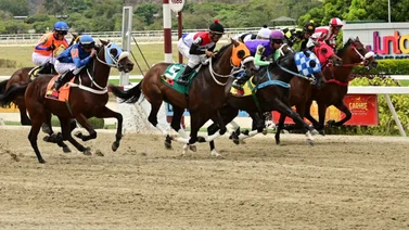 Una oportunidad de oro: Caballo que no gana desde hace un año viene con mucho chance para la R22 en La Rinconada