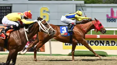 Estrategia ganadora: Descubre el ajuste clave de la línea de Gaceta Hípica para triunfar en la milla del Páez Estrategia ganadora: Descubre el ajuste clave de la línea de Gaceta Hípica para triunfar en la milla del Páez