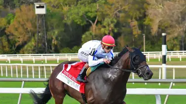 Javier Castellano cerró con broche de oro la jornada del jueves en Nueva York Javier Castellano cerró con broche de oro la jornada del jueves en Nueva York