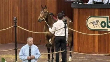 Hija de Curlin que costó $900,000 debuta de punta a punta en Santa Anita Park
