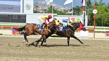 Un ajuste sobresaliente: Aquí te revelamos el mejor tiempo del jueves de este ejemplar previo a su competencia en la R22