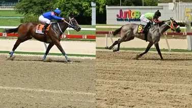 Atención Hípica: Dos estrellas selectivas están de vuelta en la arena de La Rinconada Atención Hípica: Dos estrellas selectivas están de vuelta en la arena de La Rinconada