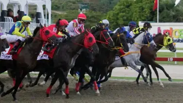 No te lo pierdas: La sorpresa de Gaceta Hípica consiguió un ajuste que dejará huella en la última válida del 5y6 No te lo pierdas: La sorpresa de Gaceta Hípica consiguió un ajuste que dejará huella en la última válida del 5y6