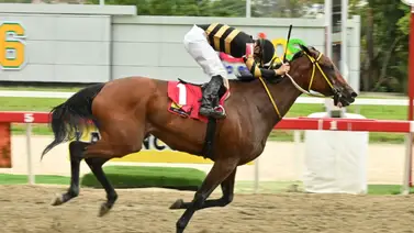 Yegua de Abraham Campos logró uno de los mejores ajustes y podrá repetir con victoria en la R22 Yegua de Abraham Campos logró uno de los mejores ajustes y podrá repetir con victoria en la R22