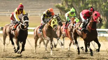 Este entrenador debuta con fe el domingo en la R22 de La Rinconada (+Video) Este entrenador debuta con fe el domingo en la R22 de La Rinconada (+Video)