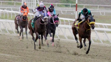 Preparador se encuentra listo para hacer su debut en la carrera de los acumulados para el 5y6 de La Rinconada (+Video)