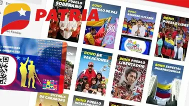 Sistema Patria Sistema Patria