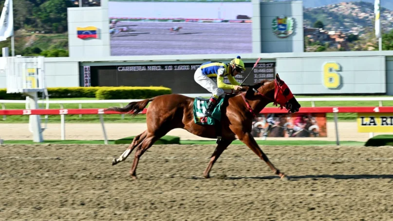Apuesta a la Triple Corona nacional en MeridianoBet