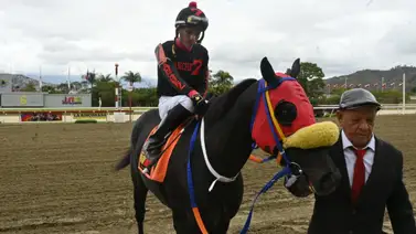 Más allá de las carreras: El porqué de la sanción al jinete aprendiz Luis Fúnez Jr. Más allá de las carreras: El porqué de la sanción al jinete aprendiz Luis Fúnez Jr.