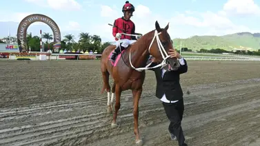 Jhonathan Aray lidera en La Rinconada: Rompe el empate y conquista la cima del meeting de jinetes Jhonathan Aray lidera en La Rinconada: Rompe el empate y conquista la cima del meeting de jinetes