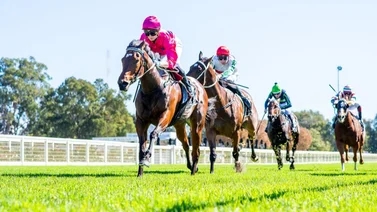 José Francisco D’Angelo participará por segunda vez en el Royal Ascot 