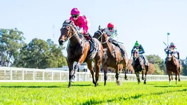 José Francisco D’Angelo participará por segunda vez en el Royal Ascot José Francisco D’Angelo participará por segunda vez en el Royal Ascot
