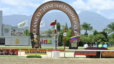 El legado de Mr. Defence: Una estrella en la pista y ahora un prometedor padrillo El legado de Mr. Defence: Una estrella en la pista y ahora un prometedor padrillo