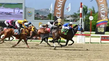 San Benito (USA): El jinete revela las razones detrás de la inesperada derrota del ejemplar San Benito (USA): El jinete revela las razones detrás de la inesperada derrota del ejemplar