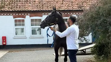 José Francisco D’Angelo en exclusiva para Meridiano desde Royal Ascot (Entrevista) José Francisco D’Angelo en exclusiva para Meridiano desde Royal Ascot (Entrevista)