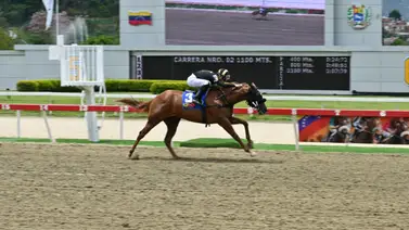 Darley en busca de la gloria: Apunta a conquistar el primer Clásico "Ángel Francisco Parra" (GIII) Darley en busca de la gloria: Apunta a conquistar el primer Clásico "Ángel Francisco Parra" (GIII)