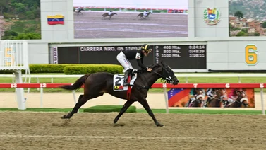 Star White: ¿Conquistará otra prueba selectiva a sus dos años en La Rinconada?