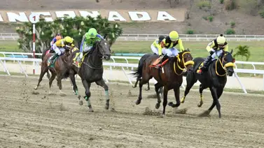 Vuelve el "Dato Fijo": El caballo que siempre rinde regresa tras 91 días de inactividad Vuelve el "Dato Fijo": El caballo que siempre rinde regresa tras 91 días de inactividad