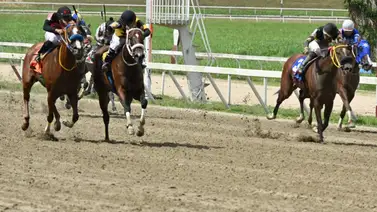 ¡Velocidad Pura! Hija de Roger Rocket regresa a Coche lista para deslumbrar ¡Velocidad Pura! Hija de Roger Rocket regresa a Coche lista para deslumbrar