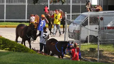 Retorno en busca de victoria: El caballo con rodaje selectivo reaparece tras larga inactividad Retorno en busca de victoria: El caballo con rodaje selectivo reaparece tras larga inactividad