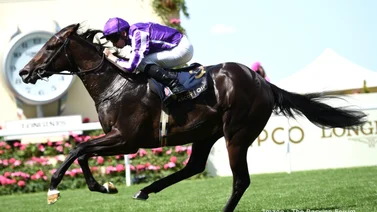Ryan Moore mantiene la tradición y gana su primer Stakes del Royal Ascot 2025