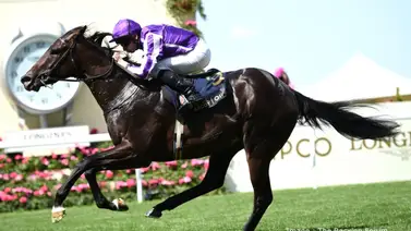 Ryan Moore mantiene la tradición y gana su primer Stakes del Royal Ascot 2025 Ryan Moore mantiene la tradición y gana su primer Stakes del Royal Ascot 2025