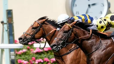 Conoce quien gana el primer Stakes de Royal Ascot que es clasificatoria para la Breeders' Cup 2025